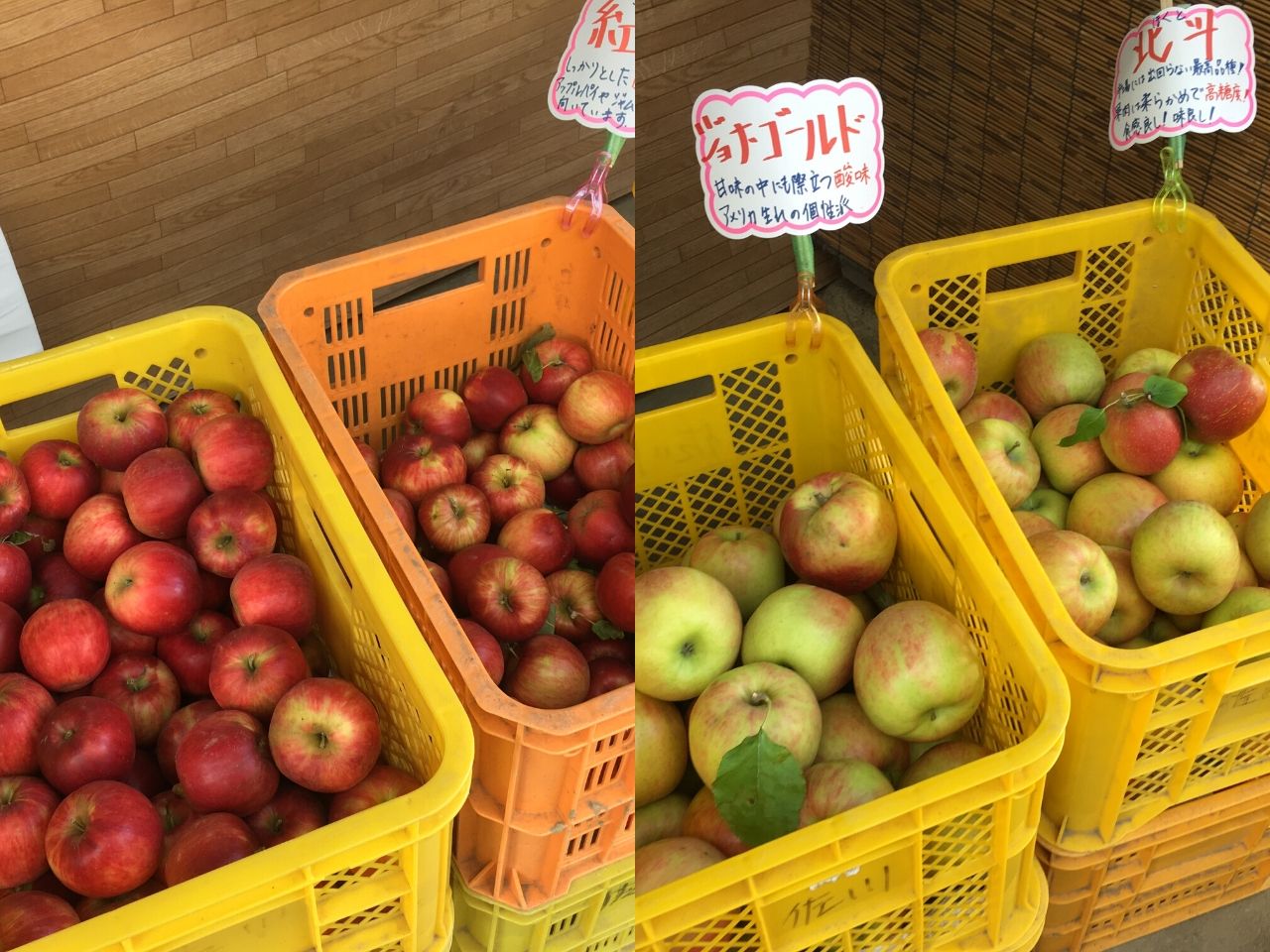 大子町はりんごの種類が豊富！食べ比べもできちゃうよ