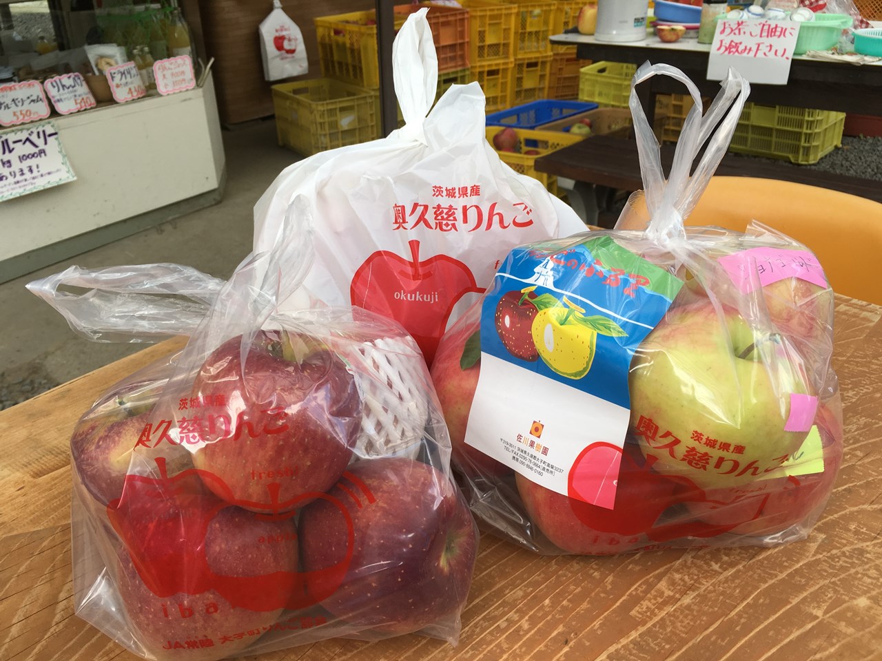 佐川果樹園さんでもぎ取りしたりんごと、購入したりんご
